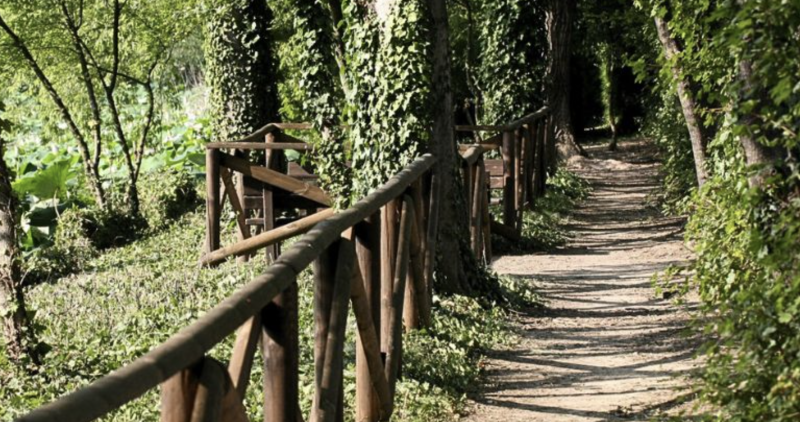 Passeggiate sensoriali al Parco del Loto